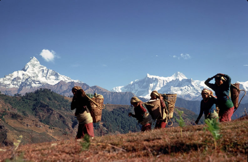 North Sikkim copy of women